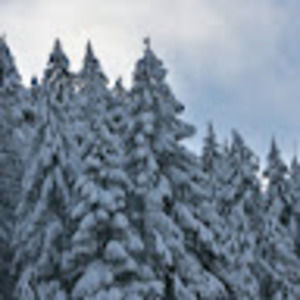 Meet your Posher, Tabitha